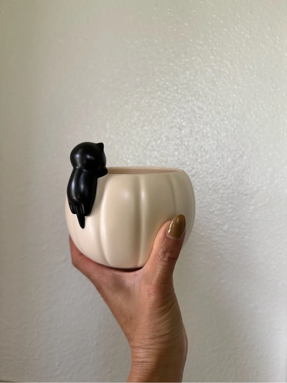 N/A starbucks pumpkin
